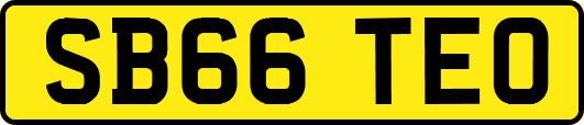 SB66TEO