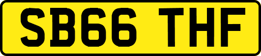 SB66THF