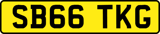 SB66TKG