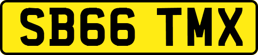 SB66TMX