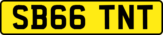 SB66TNT
