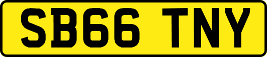 SB66TNY
