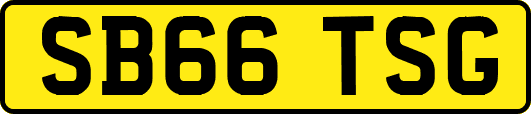 SB66TSG