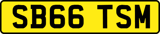 SB66TSM