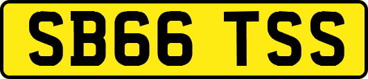 SB66TSS