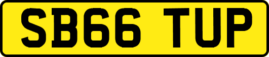 SB66TUP