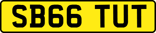 SB66TUT