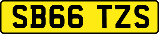 SB66TZS