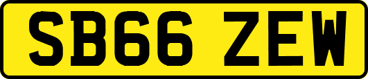 SB66ZEW