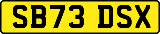 SB73DSX