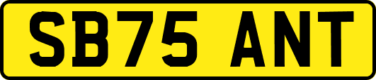 SB75ANT