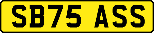 SB75ASS