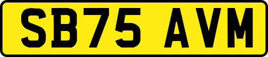 SB75AVM