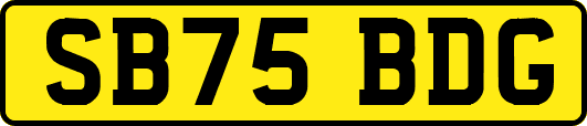 SB75BDG