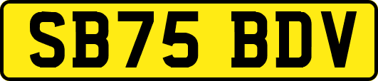 SB75BDV