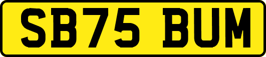 SB75BUM