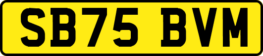 SB75BVM
