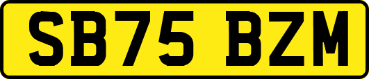 SB75BZM