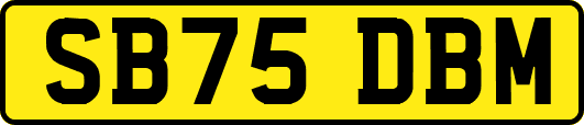 SB75DBM