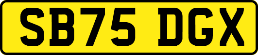 SB75DGX