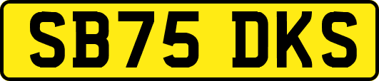 SB75DKS