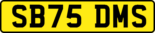 SB75DMS