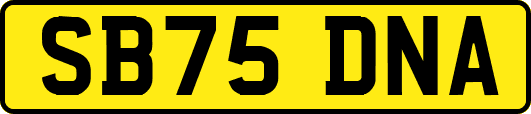 SB75DNA