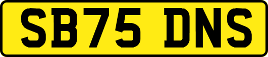 SB75DNS