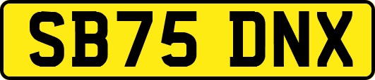 SB75DNX