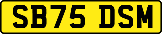 SB75DSM