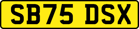 SB75DSX