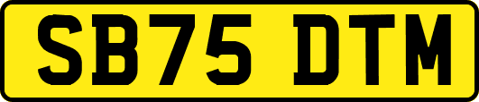 SB75DTM