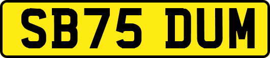 SB75DUM