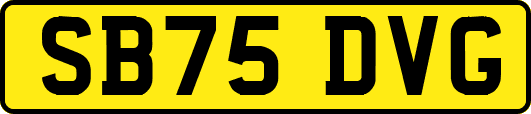 SB75DVG