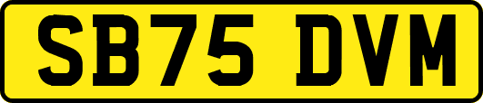 SB75DVM