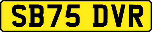 SB75DVR