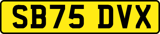 SB75DVX