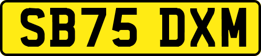 SB75DXM