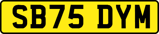 SB75DYM