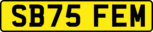 SB75FEM
