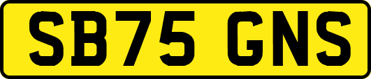 SB75GNS