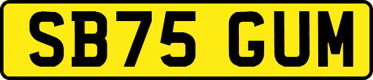 SB75GUM
