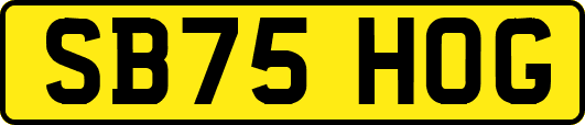 SB75HOG