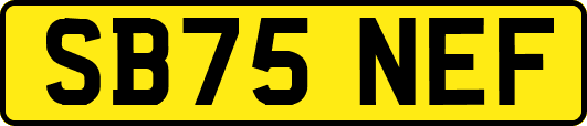 SB75NEF