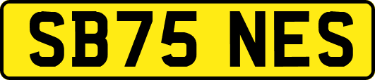 SB75NES