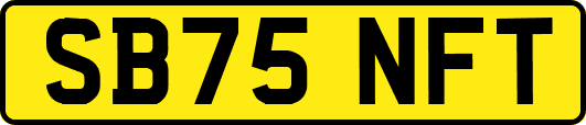 SB75NFT