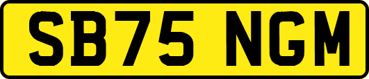 SB75NGM