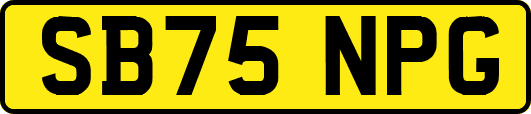 SB75NPG