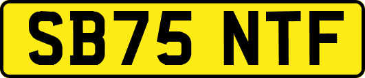 SB75NTF
