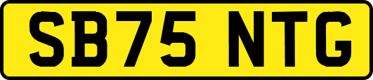 SB75NTG